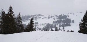 1 Unforgettable Mount Rigi Winter Adventure: Our Hilarious First Sledging Experience