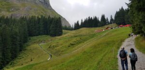 1 Amazing Experience: Why Fräkigaudi Toboggan Run Is The Longest And Best Summer Ride In Lucerne