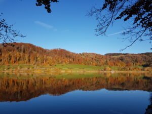 The Ultimate 4km Autumn Guide to Türlersee near Zürich: A Magical Day Trip