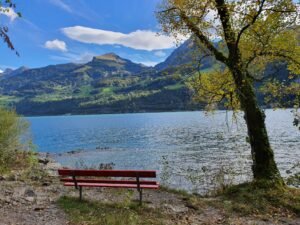 3 Amazing Reasons Walensee Is the Absolute Best Relaxing Family Lake Escape