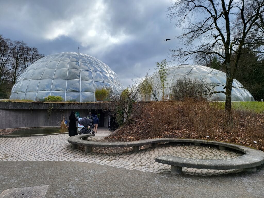 sukkulenten sammlung zürich