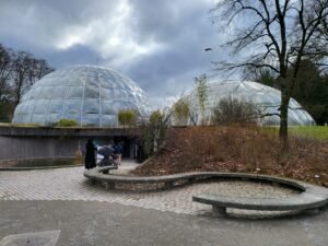 1 Brilliant Sunday: Why Sukkulenten-Sammlung Zürich Is the Best Free Activity