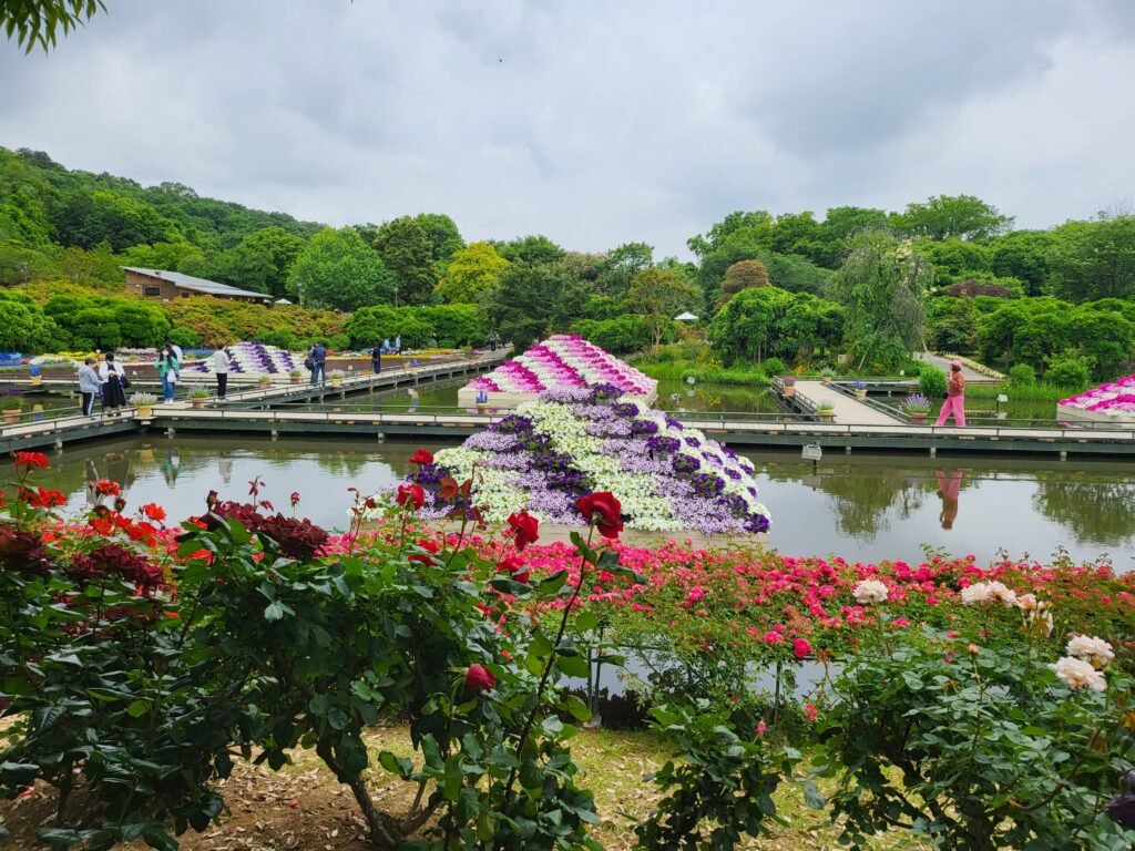 1 Day in Ashikaga Flower Park