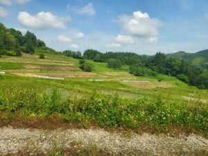 3 Unforgettable Experiences in Kamogawa: A Breathtaking Family Guide to Rice Fields and Orcas