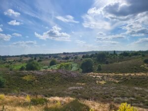 1 Hidden Gem in the Netherlands: You Must Visit Nationaal Park Veluwezoom Today!