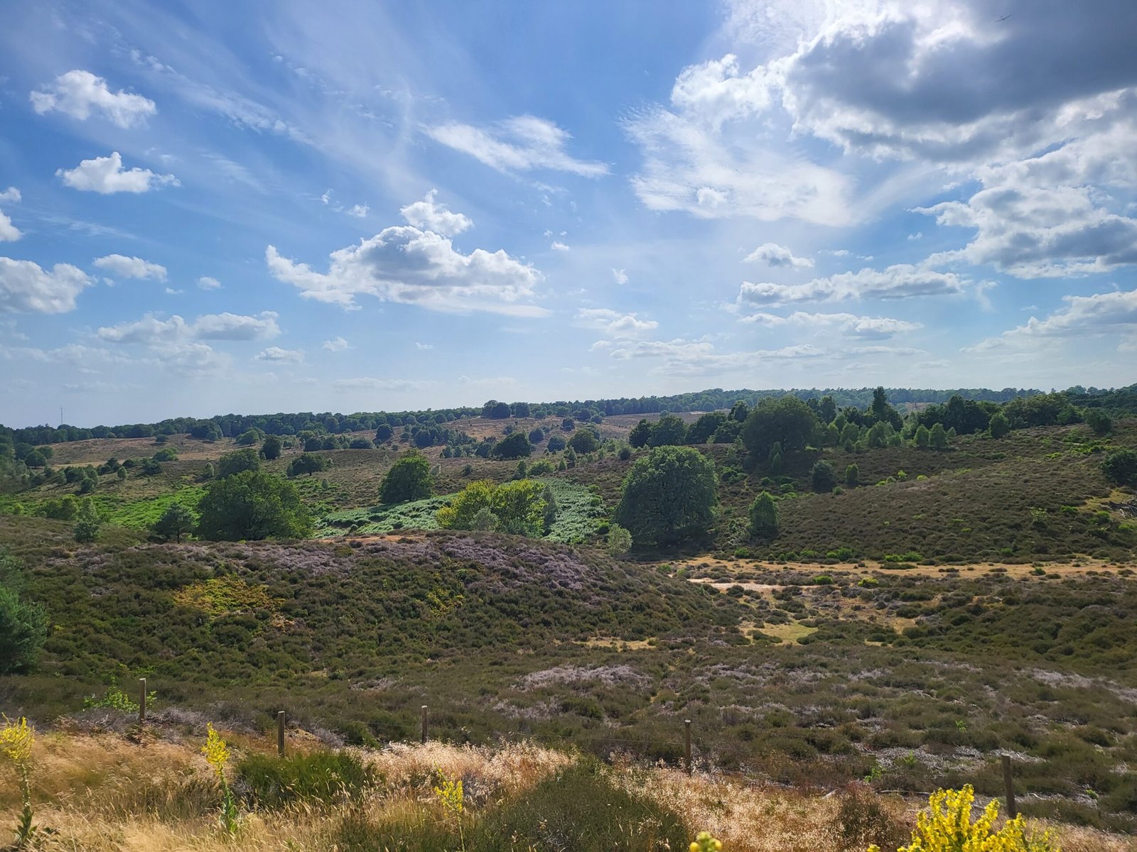 1 Hidden Gem in the Netherlands: You Must Visit Nationaal Park Veluwezoom Today!