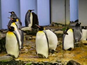 We Visited Zoo Basel 3 Times Already: Honest Family Review & Top Highlights!
