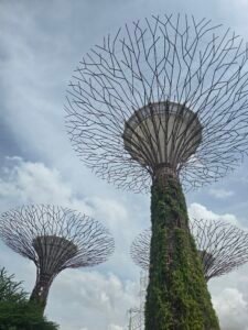 5 Jawdropping Wonders at Gardens by the Bay: An Incredible Family Adventure