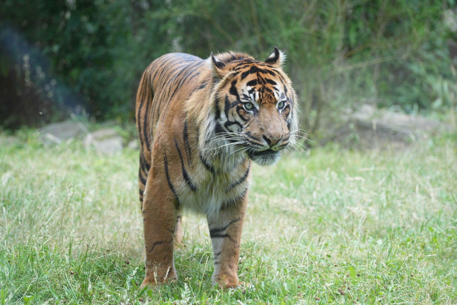 Discover the Magic of Burgers’ Zoo Arnhem: The Ultimate Family Day Trip Guide