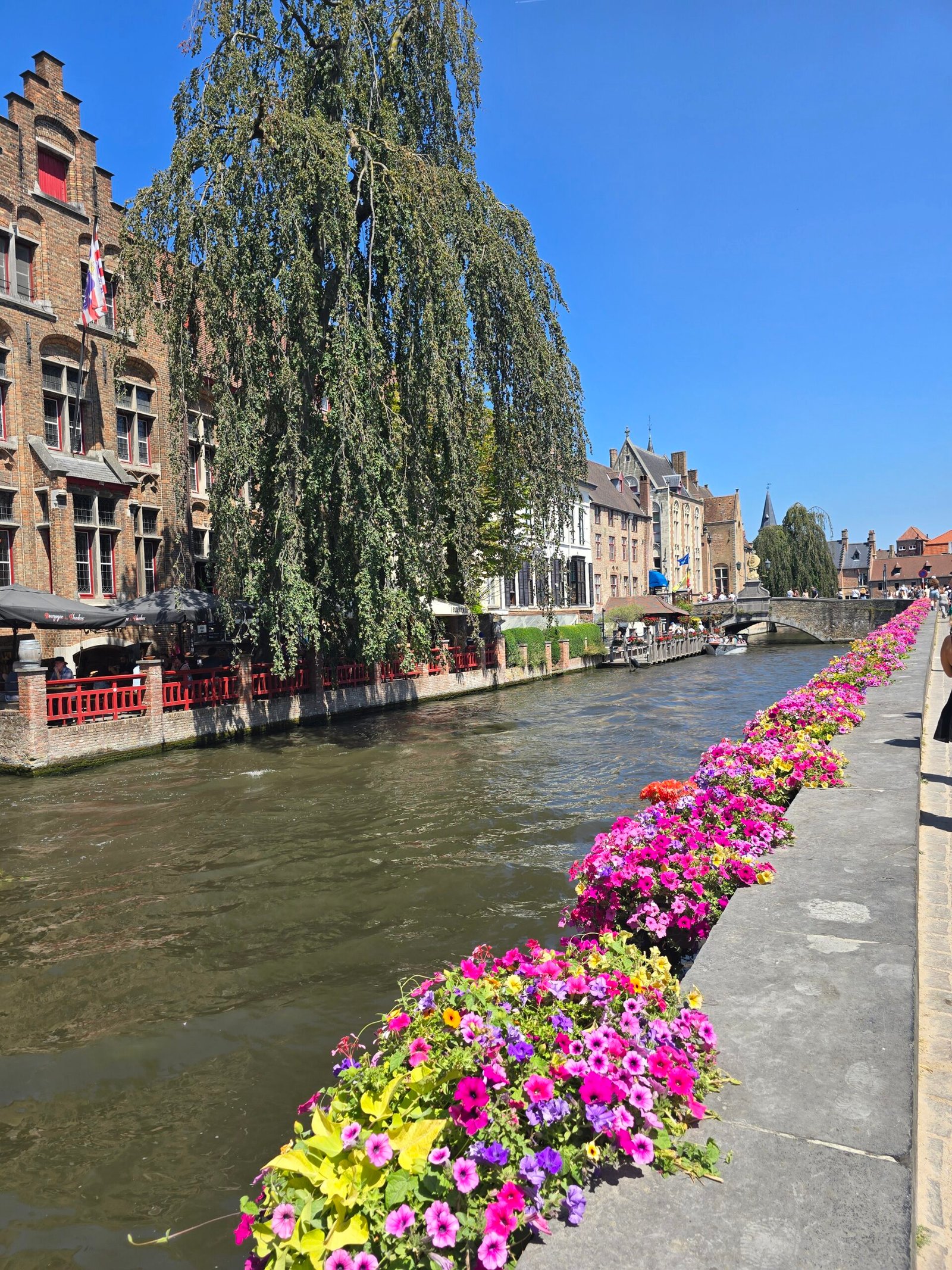 The Ultimate 2 Day Belgium Itinerary: Bruges vs Antwerp Unfiltered